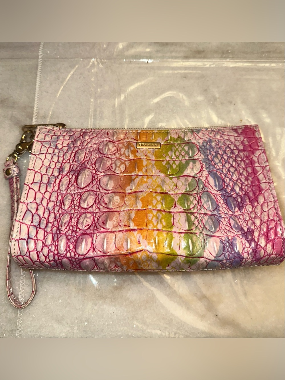 Brahmin Daisy in Optimism 🌈
